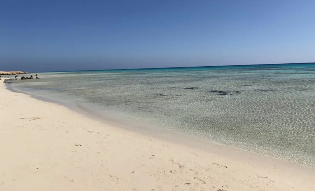 🏖️🌊 Sharm El Luli & El Qulaan Tour – Marsa Alam 🐠🌴 Sharm EL Luli /IMG-20260703-WA0002.jpg